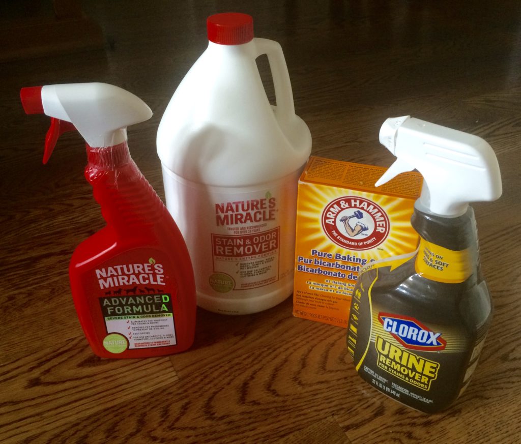 Urine Enzyme Cleaners
