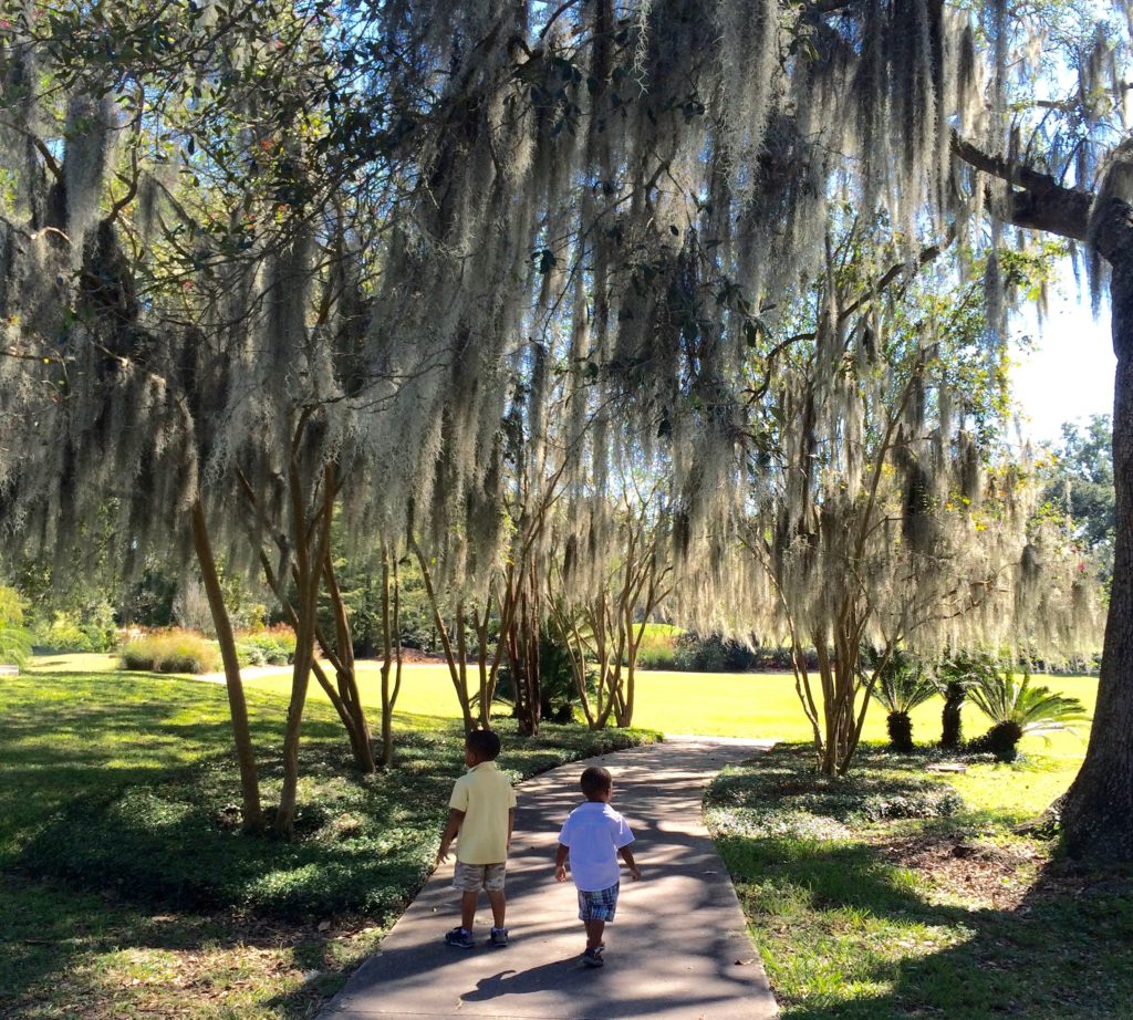 city park